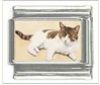 Italian Charms Modul Katzen