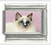 Italian Charms Modul Katzen