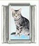Italian Charms Modul Katzen