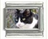 Italian Charms Modul Katzen