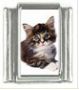 Italian Charms Modul Katzen