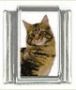 Italian Charms Modul Katzen