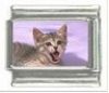 Italian Charms Modul Katzen