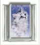 Italian Charms Modul Katzen