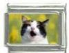 Italian Charms Modul Katzen
