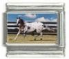 Italian Charms Modul Pferde