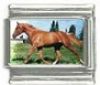 Italian Charms Modul Pferde