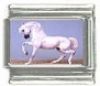 Italian Charms Modul Pferde