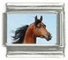 Italian Charms Modul Pferde