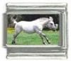 Italian Charms Modul Pferde