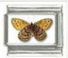 Italian Charms Modul Schmetterlinge