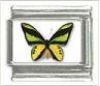 Italian Charms Modul Schmetterlinge