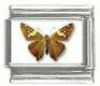 Italian Charms Modul Schmetterlinge