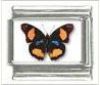 Italian Charms Modul Schmetterlinge