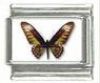 Italian Charms Modul Schmetterlinge