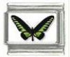 Italian Charms Modul Schmetterlinge