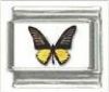 Italian Charms Modul Schmetterlinge