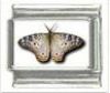 Italian Charms Modul Schmetterlinge