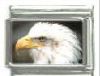 Italian Charms Modul Adler
