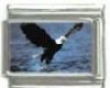 Italian Charms Modul Fliegender Wei�kopfseeadler