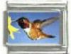 Italian Charms Modul Kolibri