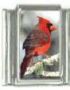 Italian Charms Modul Vogel