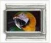 Italian Charms Modul Papagei