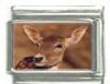 Italian Charms Modul Antilope