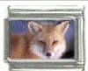 Italian Charms Modul Fuchs