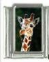 Italian Charms Modul Giraffe