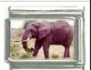 Italian Charms Modul Elefant