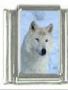 Italian Charms Modul Wolf