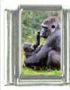Italian Charms Modul Gorilla
