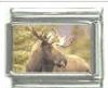 Italian Charms Modul Elch
