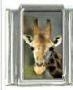 Italian Charms Modul Giraffe