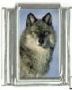 Italian Charms Modul Grauwolf