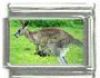 Italian Charms Modul K�ngeruh