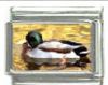 Italian Charms Modul Ente
