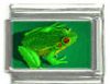 Italian Charms Modul Frosch