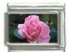 Italian Charms Modul - Rose - Rosa