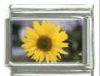 Italian Charms Modul - Sonnenblume