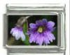Italian Charms Modul - Blumen