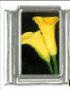 Italian Charms Modul - Kelchblume - Gelb