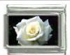 Italian Charms Modul - Rose - Weiss