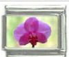 Italian Charms Modul - Orchidee