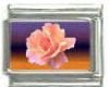 Italian Charms Modul - Rose - Rosa