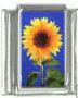 Italian Charms Modul - Sonnenblume