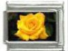 Italian Charms Modul - Rose - Gelb
