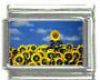 Italian Charms Modul - Sonnenblumenfeld