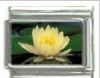 Italian Charms Modul - Wasserblume